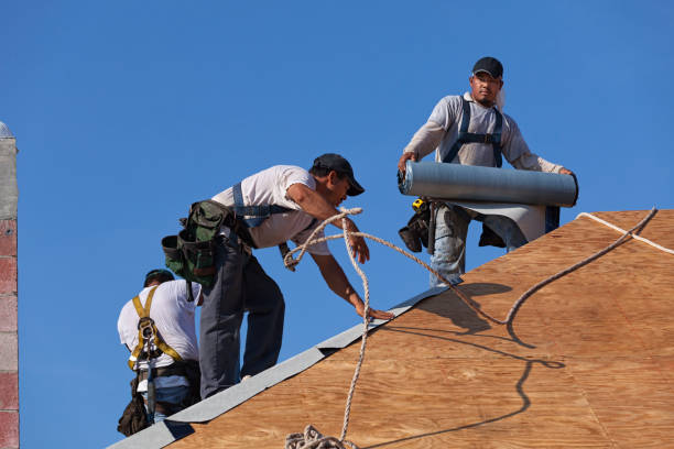 Best Roof Repair Services  in South Park, WY