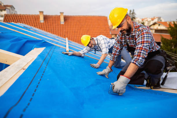 Best Metal Roofing Contractor  in South Park, WY