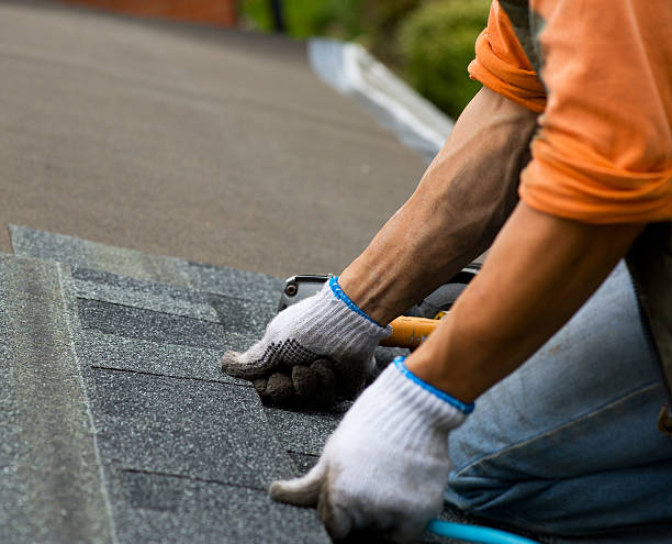 Best Roof Replacement Cost  in South Park, WY