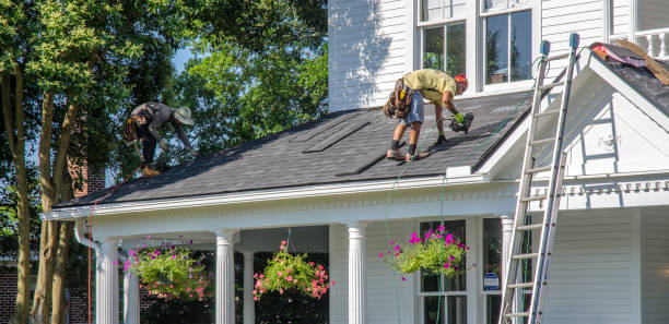 Best Local Roofing Companies  in South Park, WY